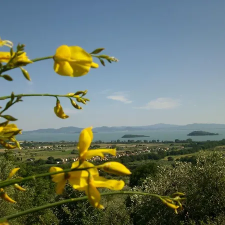 La Loggina Maxi Con 2 Giardini Recintati Privati Tuoro sul Trasimeno