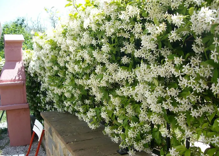 La Loggina Maxi Con 2 Giardini Recintati Privati *